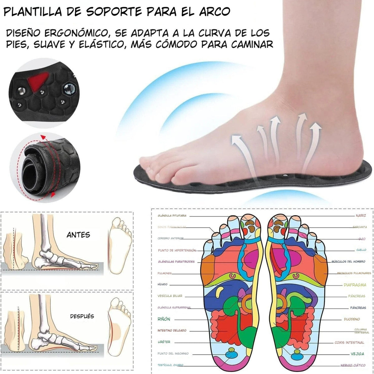 Semelles d'acupression magnétiques Pro+™